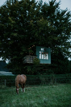 Treehouse escape, Kværndrup